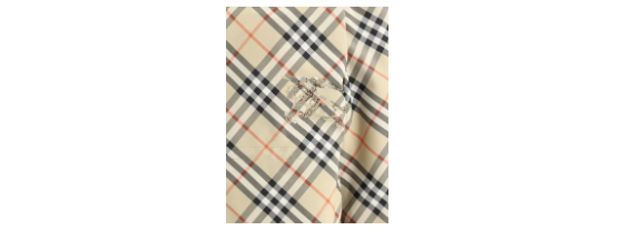 Burberry women's Check pattern jacket